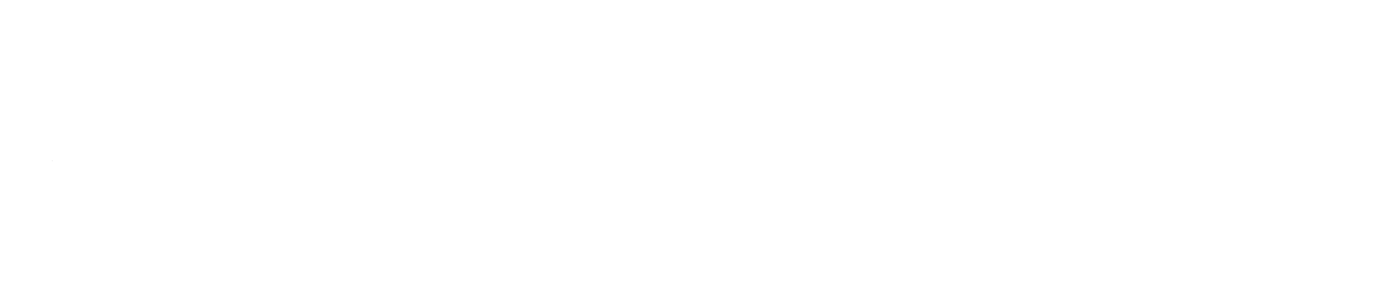 Mission Dynamics